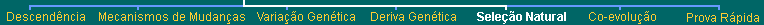 Bottom menu bar
