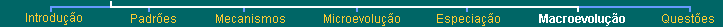 Top menu bar