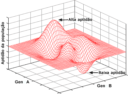 Adaptive landscape