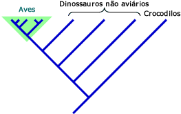 Aves é um grupo válido em ambas as classificações