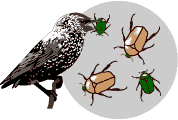 Differential reproduction
