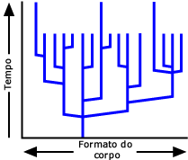 Extinção