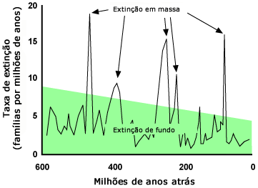 As taxas de extinção de 600 milhões de anos atrás até o presente