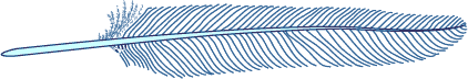 Flight feather