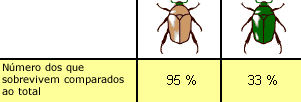 How to determine fitness in our beetle population