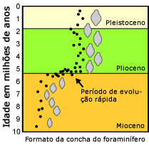 Foraminiferan shell tamanho ao longo do tempo