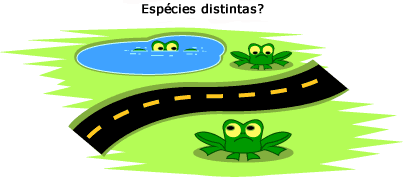 How distantly separated must two groups be to be separate species?