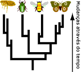 Long-term change w/ inheritance