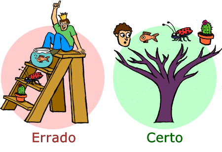A evolução é uma árvore, não uma escada