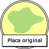 As bactérias são inoculadas