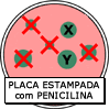 sobreviventes