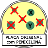 Sobreviventes na placa original