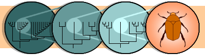 Microevolução é a evolução em pequena escala