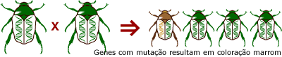 Mutação genética aleatória