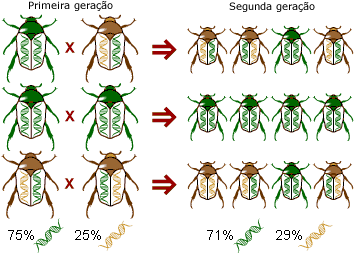 Deriva Genética