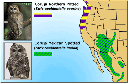 Spotted owl ranges
