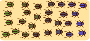 parapatric speciation