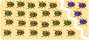 peripatric speciation