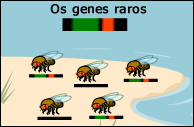 The small population has a disproportionate amount of rare genes.