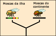 Peripatric speciation has occurred.