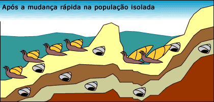A população pequena e isolada sofre mudanças rápidas