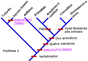 Hipótese exigindo sete mudanças evolutivas