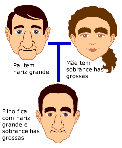 Baralhar de combinações de genes