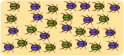 sympatric speciation