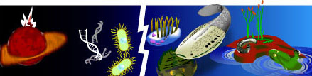 Important events in the history of life: 4500 to 360 Mya