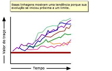 Estas linhagens mostram uma tendência, porque a sua evolução começou perto de um limite