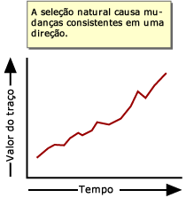 A seleção natural faz com que a mudança consistente em uma direção