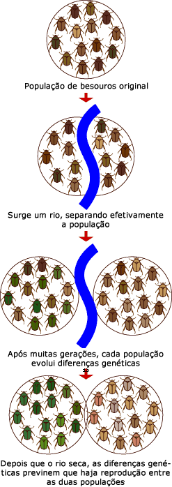 Especiação por isolamento geográfico