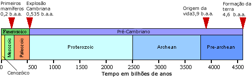 Idade das camadas de rocha estabelecida usando a datação radiométrica