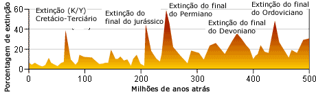 Massa e Extinção de fundo