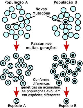 As mutações podem levar a novas espécies