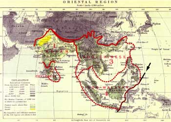 Região Oriental de Wallace