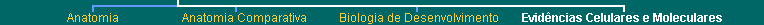 bottom navigation bar