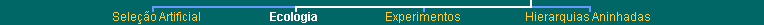 bottom navigation bar