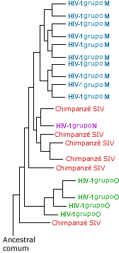 Origens do HIV-1