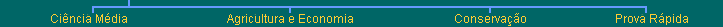 Top Navigation Bar