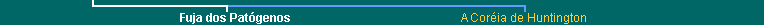 Lower Navigation Bar