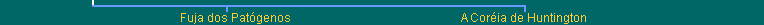 Lower Navigation Bar