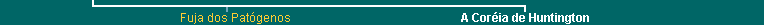 Lower Navigation Bar