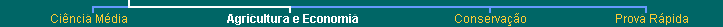 Top Navigation Bar