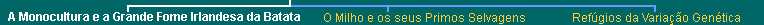 Lower Navigation Bar