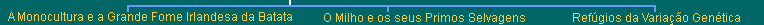 Lower Navigation Bar