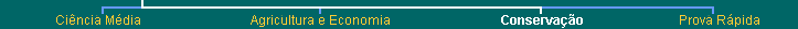 Top Navigation Bar
