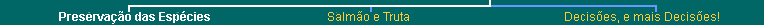 Lower Navigation Bar