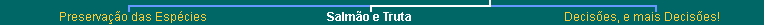 Lower Navigation Bar