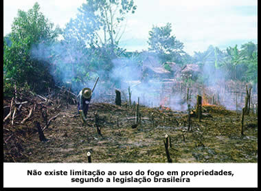 Queimada na lavoura